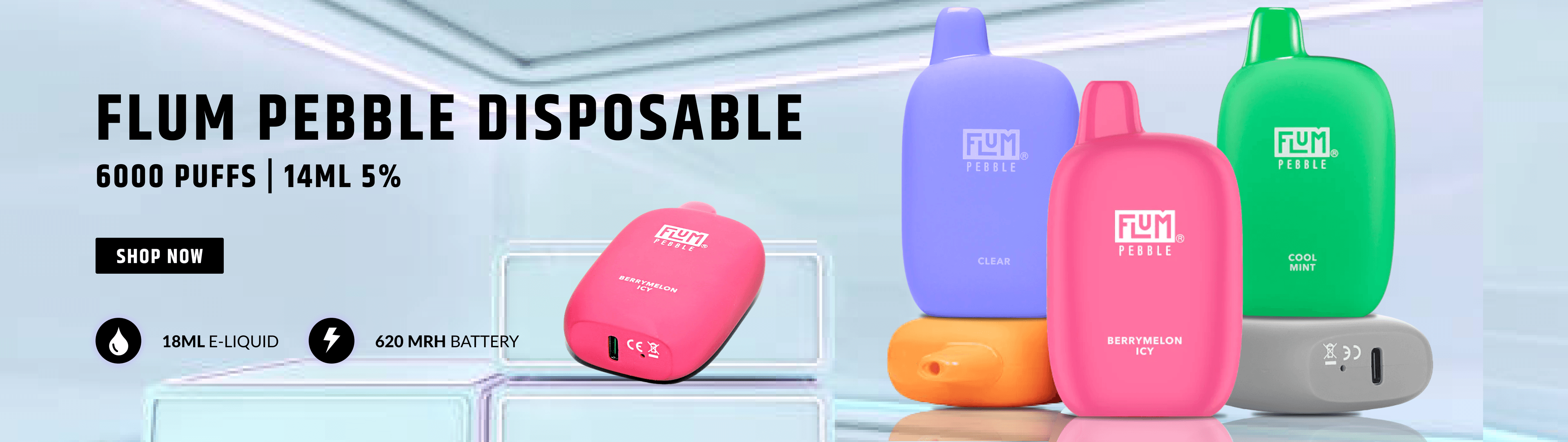 FLUM PEBBLE vape